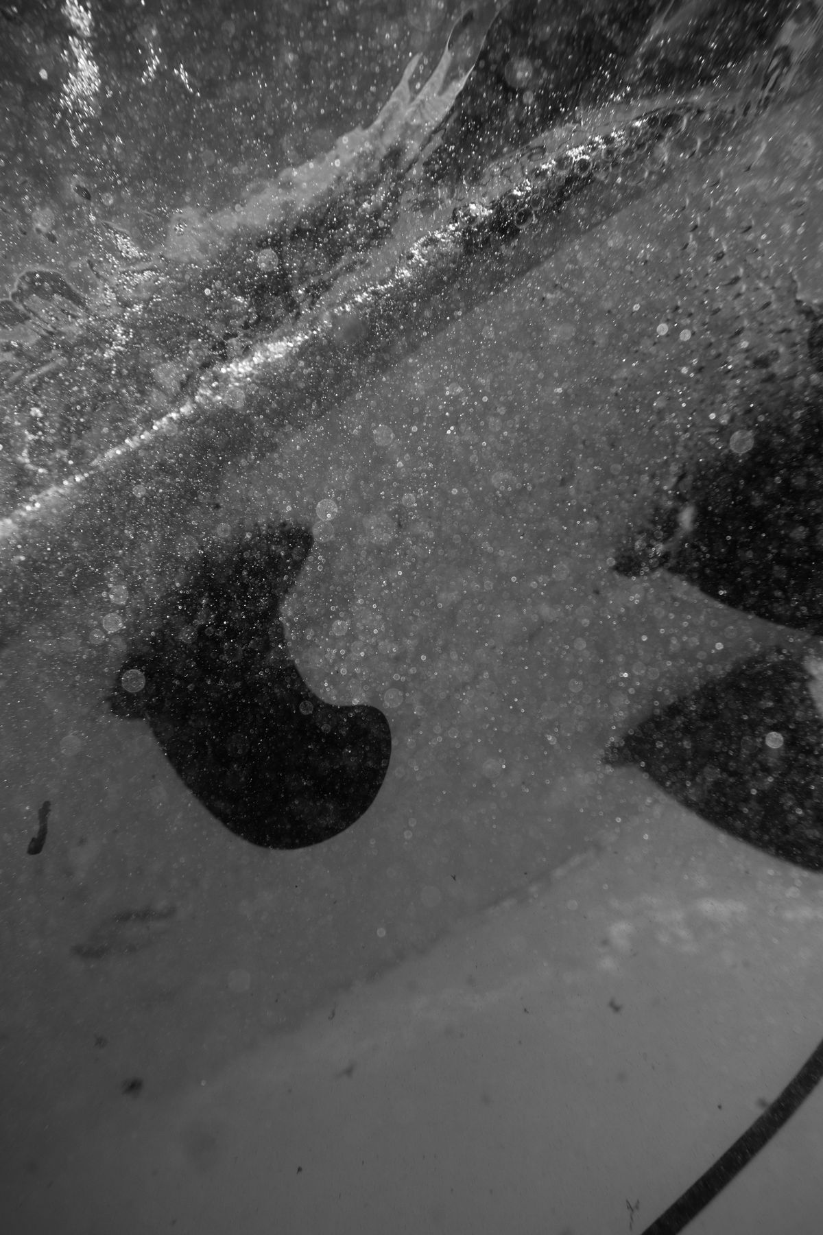 Black and white underwater shot of surfboard fins