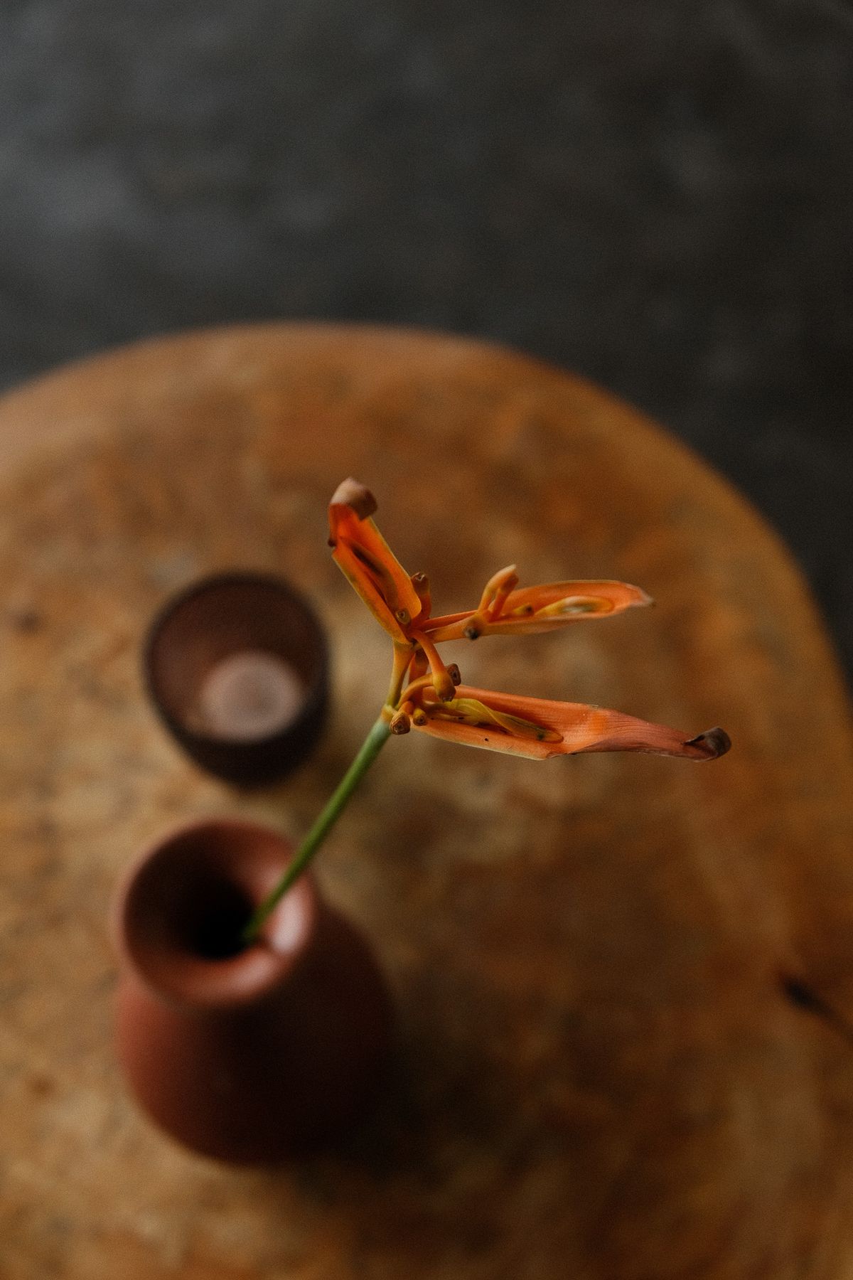 Orange flower in a small clay vase on a wooden table