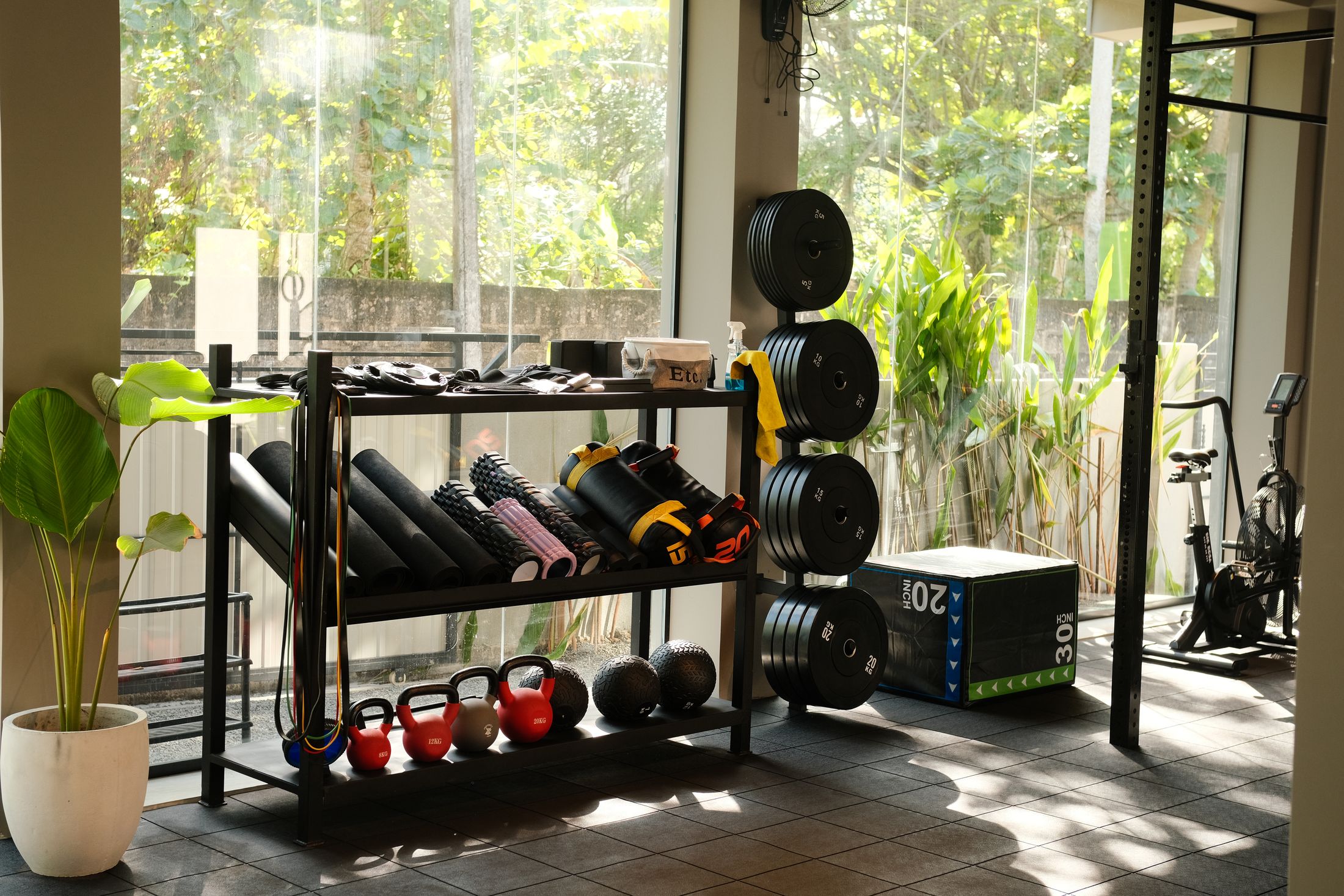Gym rack with mats, kettlebells and weight plates next to a plant